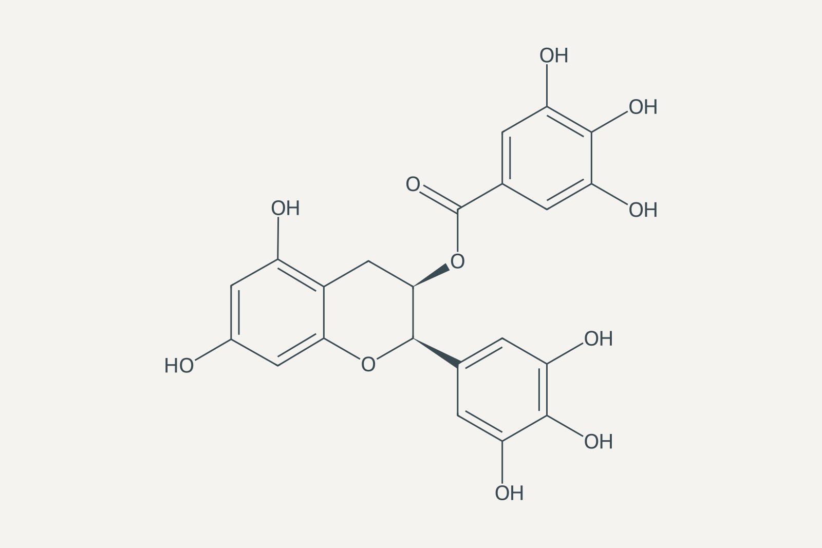 Strukturformel von Epigallocatechingallat (EGCG), dem Hauptkatechin des grünen Tees