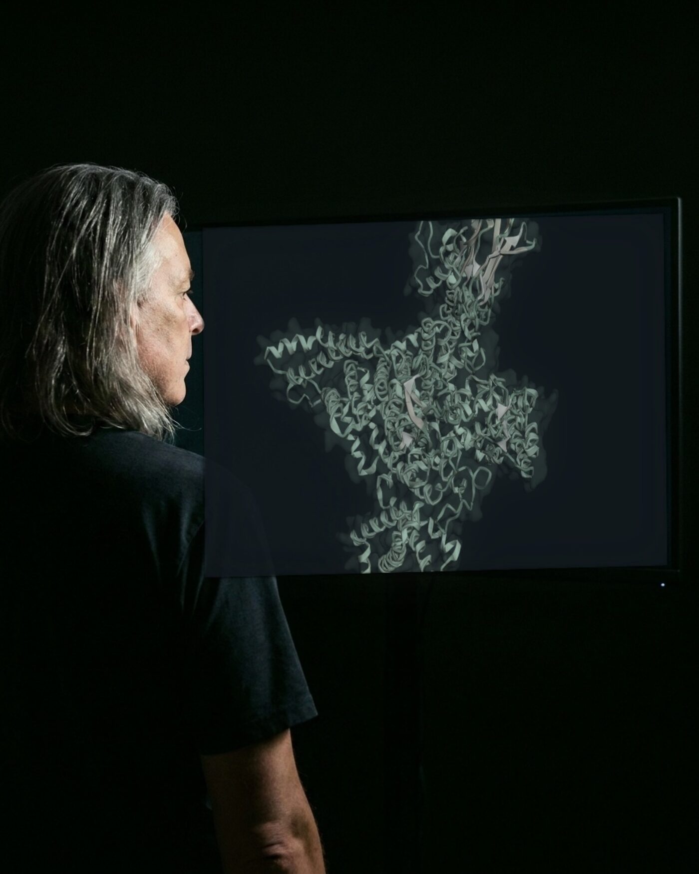 Dr. Holger Scheib betrachtet am Bildschirm die Struktur des menschlichen Natriumkanals Nav1.2 (PDB 6J8E).